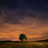 Hageland by night